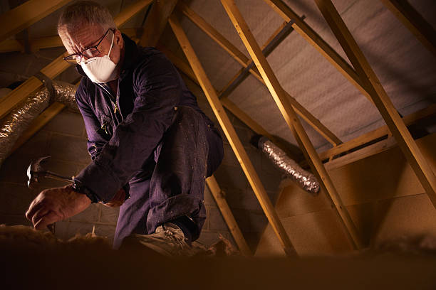 Best Specialized Insulation Services in Fussels Corner, FL
