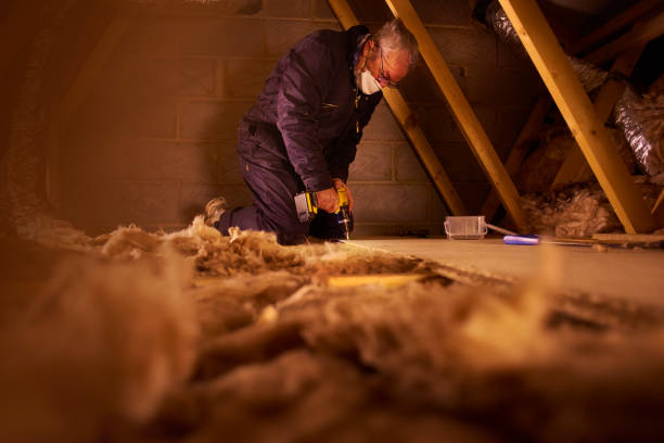 Best Insulation Maintenance and Repair in Fussels Corner, FL