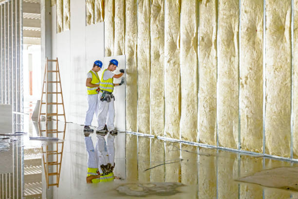 Best Eco-Friendly Insulation in Fussels Corner, FL